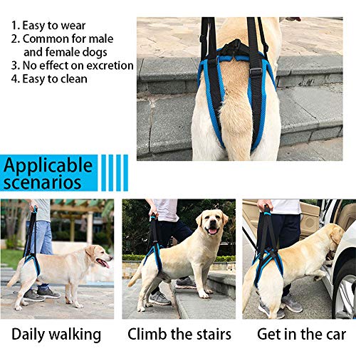 Doglemi - Arnés de elevación portátil para perros con patas traseras débiles para recuperación de cirugía y alivio del dolor