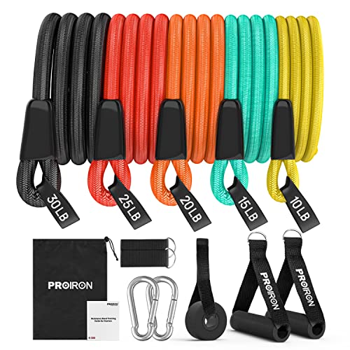 PROIRON Bandas Elasticas Musculacion, Alambre de Látex Sólido Banda elástica, Cuerda de Resistencia, Set de Bandas,Tubos de Entrenamiento, Accesorios Ricos，11 in 1 Bandas Resistencia
